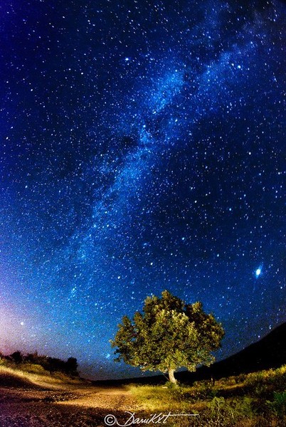   (402x600, 106Kb)