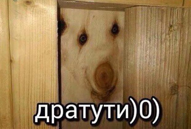 3391947_infoaltai1471051445 (620x420, 344Kb)