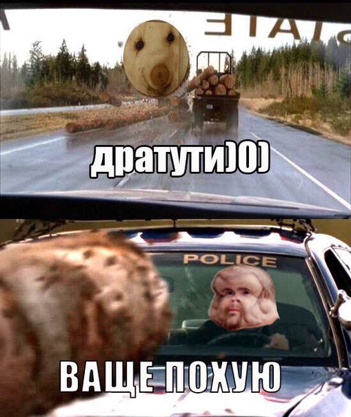 3391947_yykGHYMJEiw (509x604, 75Kb)