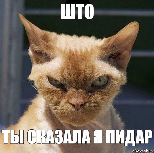 149 (500x498, 56Kb)
