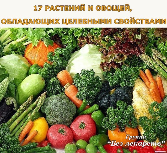 17 РАСТЕНИЙ И ОВОЩЕЙ, ОБЛАДАЮЩИХ ЦЕЛЕБНЫМИ СВОЙСТВАМИ