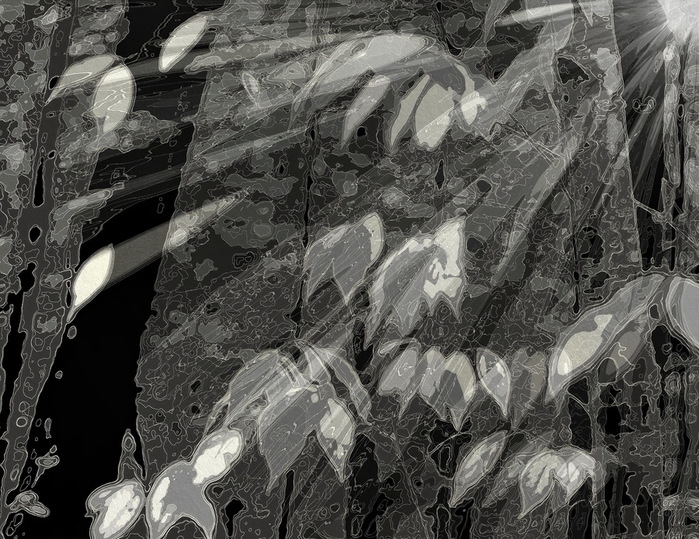 PS_F (700x539, 187Kb)