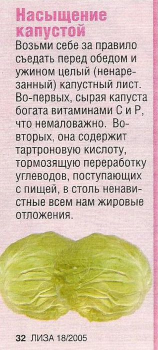 Можно ли давать собаке капусту. Капустный лист на голову. Капустный лист от головной боли. Капустный лист при давлении. Капуста при головной боли.