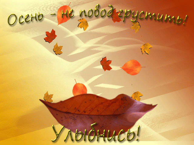 125433997_10071592 (640x480, 498Kb)