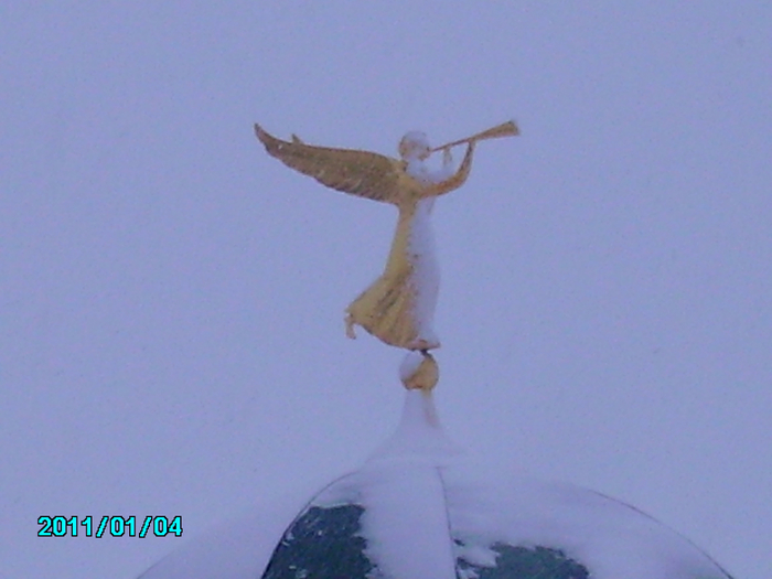 PICT0060 (700x525, 285Kb)