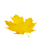 0_a3ffd_1232506d_orig (160x160, 27Kb)