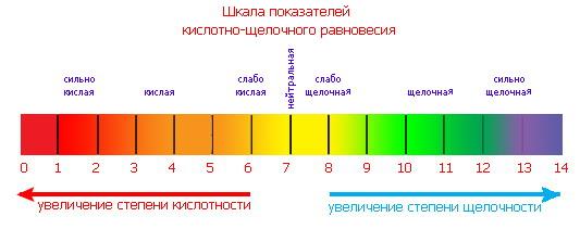 5365806_358925_html_m35a2d7ac (533x211, 15Kb)