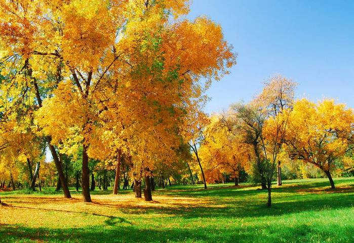autumn_time_04 (700x481, 94Kb)