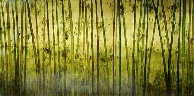 bamboo-forest (643x320, 267Kb)