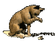 b5f641993c1a5820bb556f0b3afb2e65 (80x68, 46Kb)