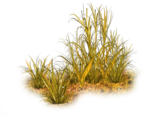  14el (700x537, 520Kb)