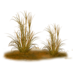  24el (700x700, 460Kb)