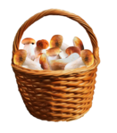 30el (480x546, 371Kb)