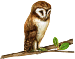  40el (617x480, 348Kb)