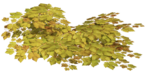  44el (700x342, 350Kb)