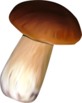 48el (300x375, 157Kb)