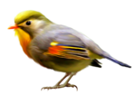  56el (400x284, 124Kb)