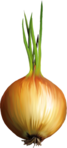  77el (181x400, 105Kb)