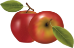 79el (400x263, 135Kb)
