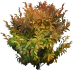  86el (505x480, 500Kb)