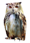  94el (280x400, 227Kb)