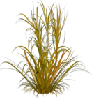  113el (480x530, 353Kb)