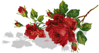 488928_6e83a (200x108, 40Kb)