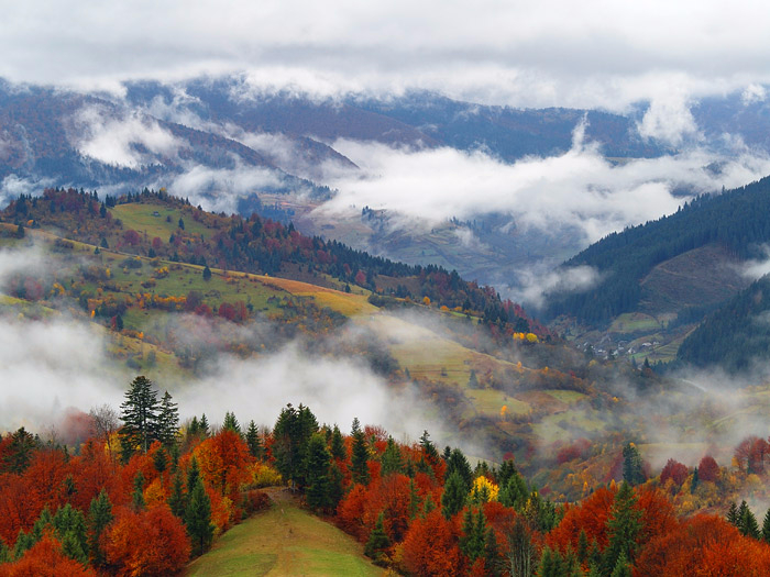 Карпаты горы Закарпатье