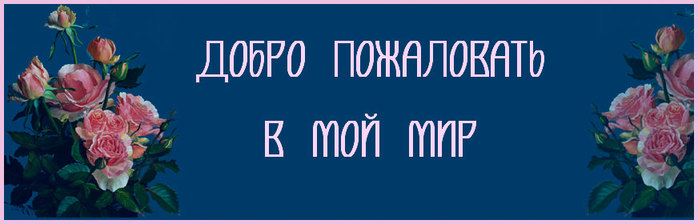 1 (2) (700x224, 40Kb)