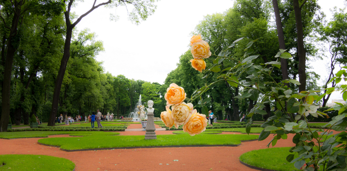 Фонтаны в летнем саду в санкт петербурге фото