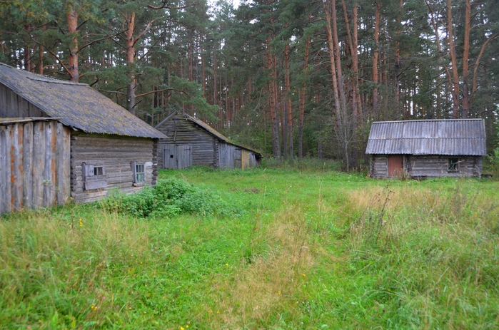 4150718_DSC_0137 (700x463, 317Kb)