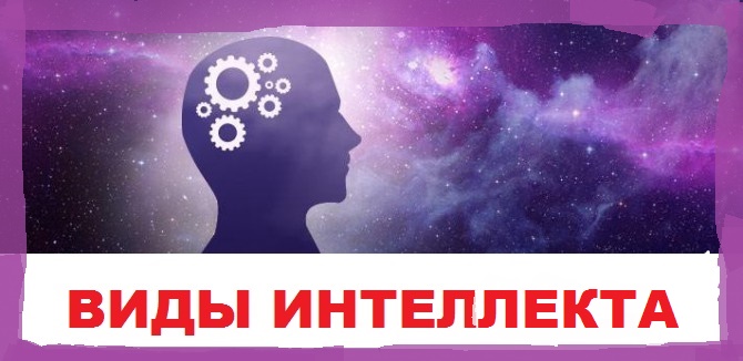 Wow интеллект что дает