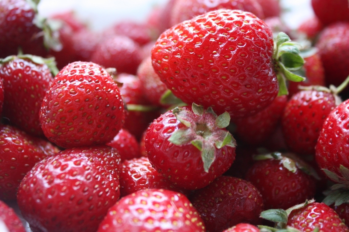 4052195_IMG_8654 (700x466, 268Kb)
