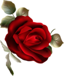  0_d32f7_7995cf07_XL (584x700, 221Kb)