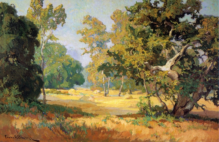 Summer Days, California Woodlands (700x455, 472Kb)
