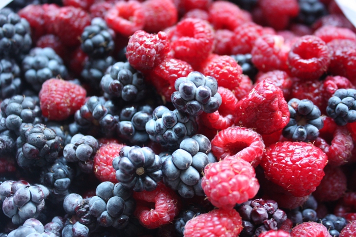4052195_IMG_8906 (700x466, 284Kb)