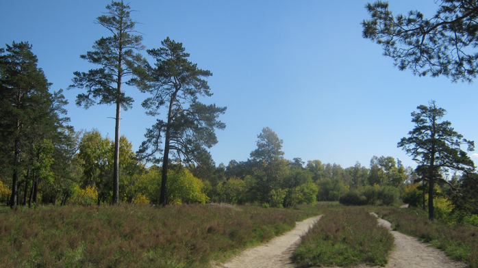 IMG_9042 (700x392, 395Kb)