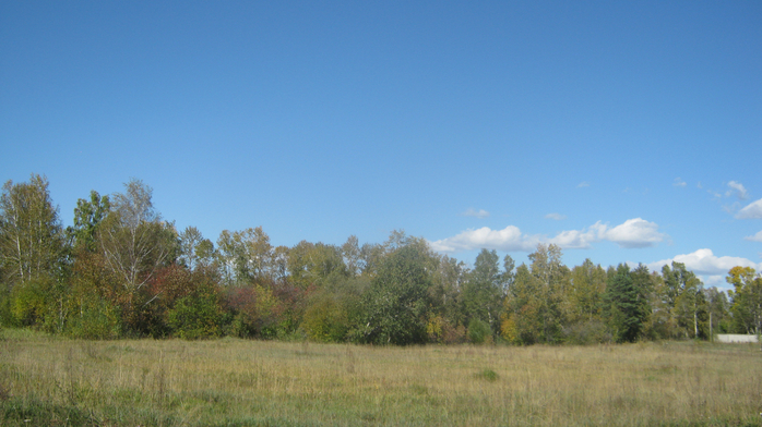 IMG_9088 (700x392, 332Kb)