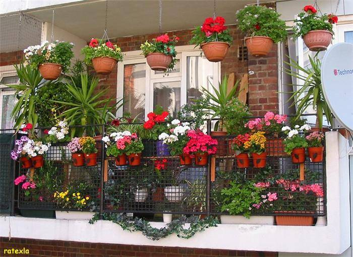 Consummate-lovely-balcony-garden-images-balcony-garden-for-your-garden-look-beautiful (700x509, 381Kb)