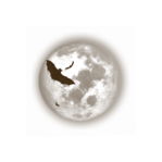  ED_Halloween_Night_29 (500x499, 171Kb)