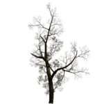  ED_Halloween_Night_42 (490x500, 177Kb)