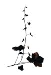  ED_Halloween_Night_58 (342x500, 52Kb)