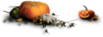  ED_Halloween_Night_63 (500x183, 86Kb)