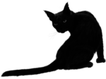  ED_Halloween_Night_108 (500x374, 80Kb)