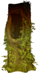  ED_Halloween_Night_118 (268x500, 253Kb)