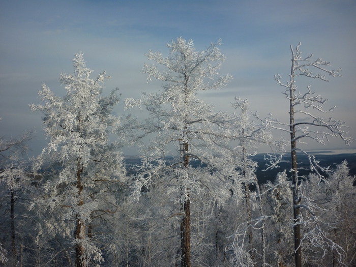 P1140222 (700x525, 251Kb)