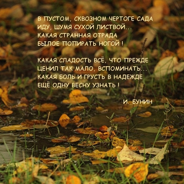 _orig (600x602, 154Kb)