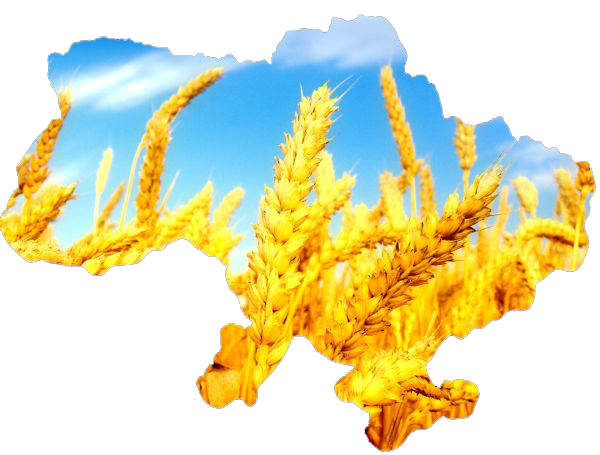 Картинки по запросу клипарт патріотичний