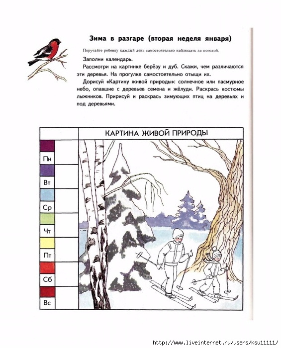 План конспект экологического занятия для дошкольников