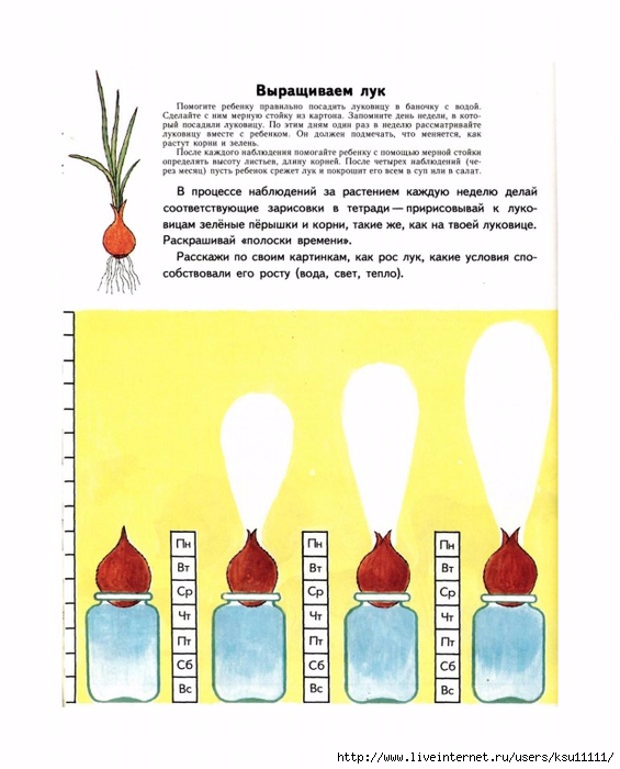 План конспект экологического занятия для дошкольников